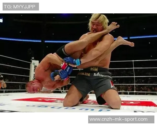 菲多与崔洪万的巅峰对决谁将成为拳坛新王者的传奇之战